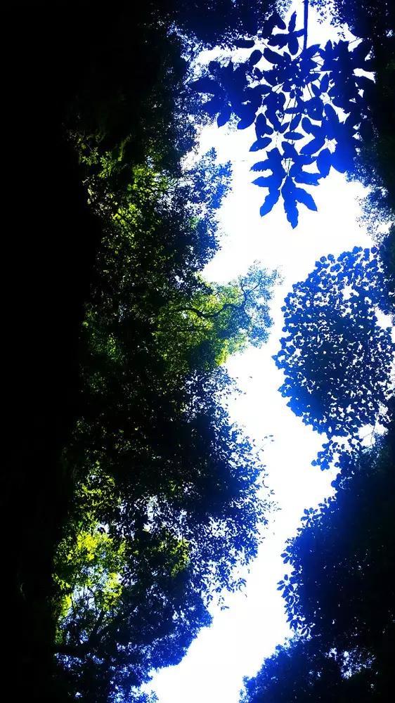 平底鞋
